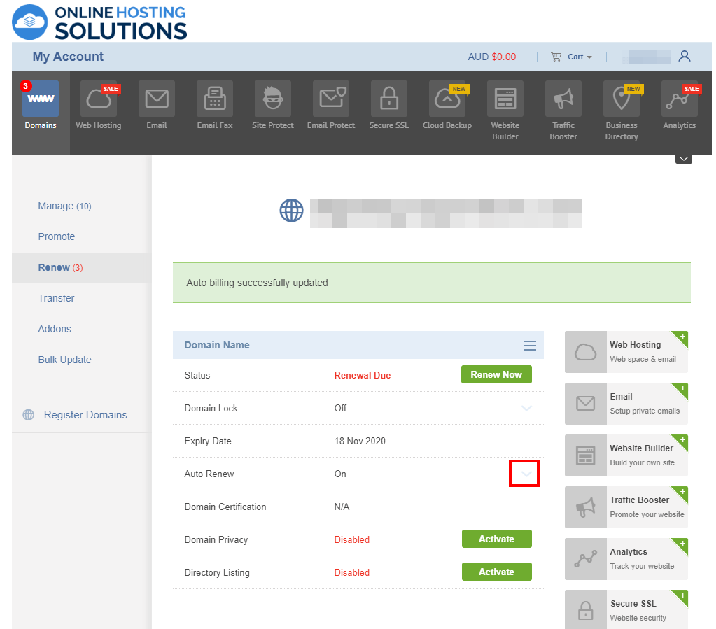 Online Hosting Solutions Domain Renewal Auto Renew On