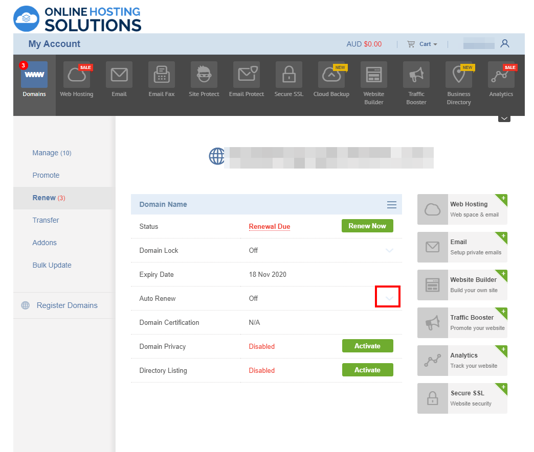 Online Hosting Solutions Domain Renewal Auto Renew