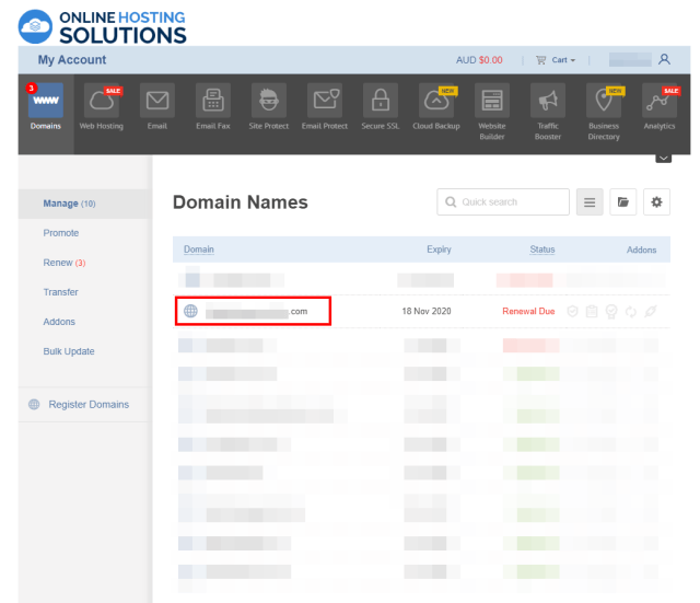Online Hosting Solutions Domain Renewal Domain Name