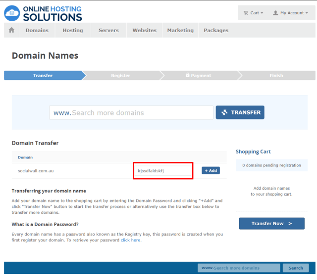 Online Hosting Solutions Domain Transfer Domain Password