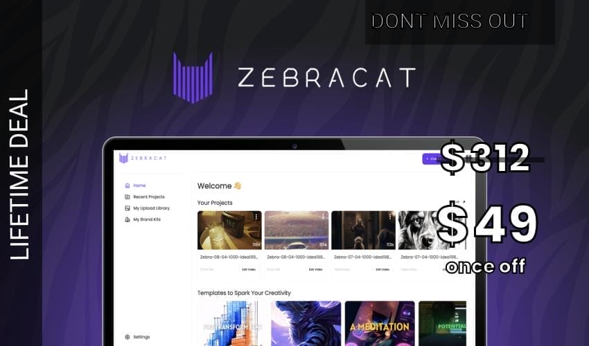 Zebracat Lifetime Deal for $49